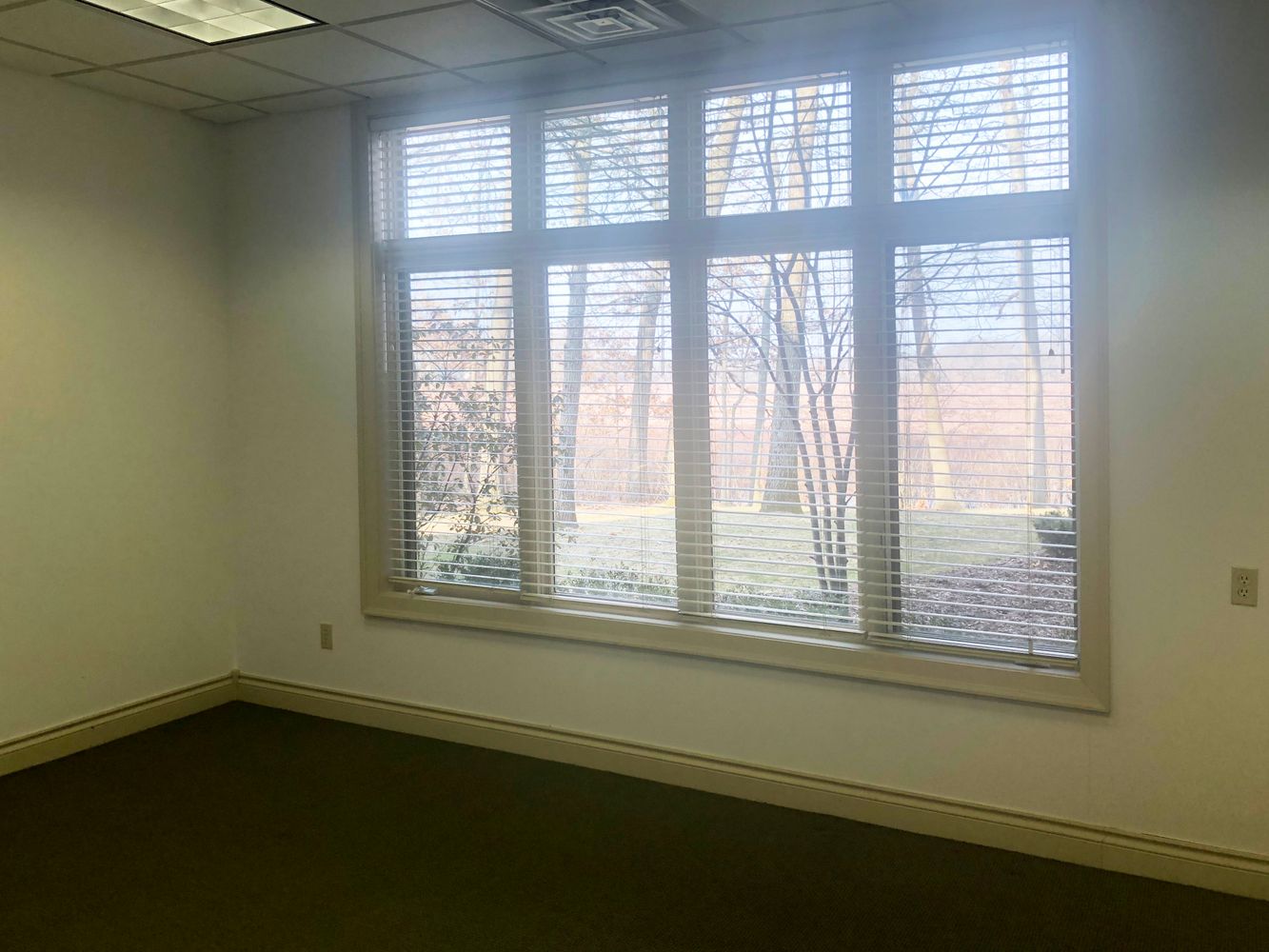 Woodbridge Hills Office Park: 7950 Moorsbridge Rd, Portage, MI 49024